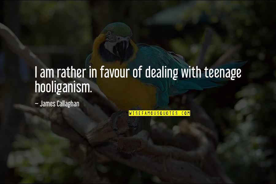 Tribunales De Justicia Quotes By James Callaghan: I am rather in favour of dealing with