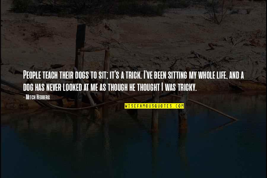 Trick Me Quotes By Mitch Hedberg: People teach their dogs to sit; it's a Trick Me Quotes By Mitch Hedberg: People teach their dogs to sit; it's a