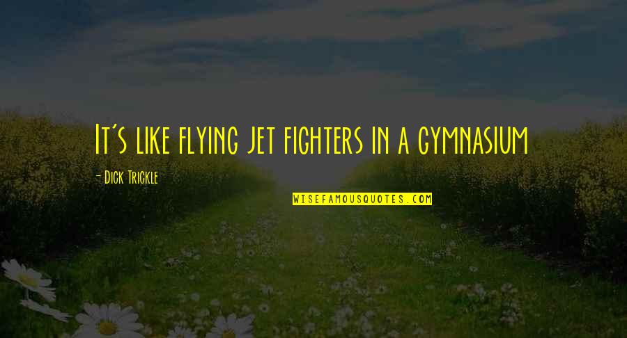 Trickle Quotes By Dick Trickle: It's like flying jet fighters in a gymnasium