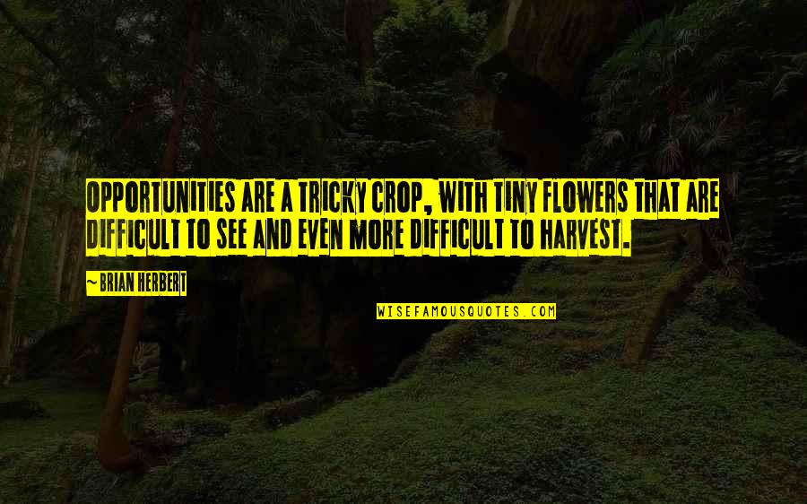 Tricky Quotes By Brian Herbert: Opportunities are a tricky crop, with tiny flowers
