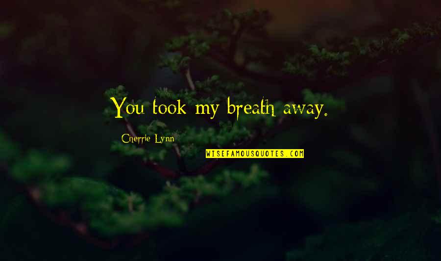 Tricycle Driver Quotes By Cherrie Lynn: You took my breath away.