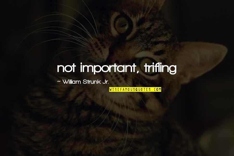 Trifling Quotes By William Strunk Jr.: not important, trifling