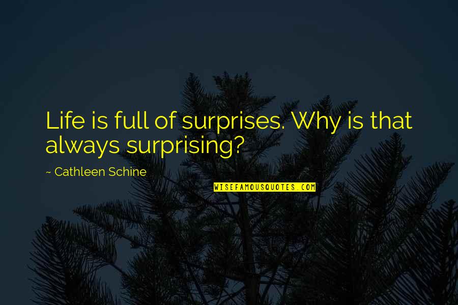 Trilateral Appraisal Management Quotes By Cathleen Schine: Life is full of surprises. Why is that