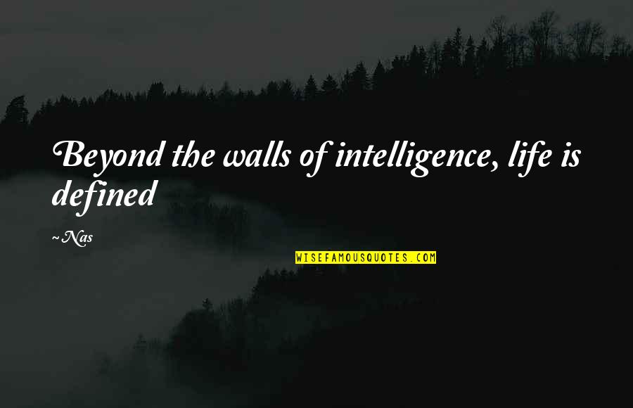 Trimbos Pizza Quotes By Nas: Beyond the walls of intelligence, life is defined