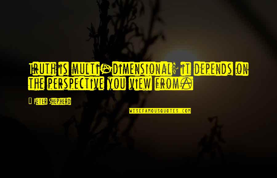 Trimestre De Embarazo Quotes By Peter Shepherd: Truth is multi-dimensional; it depends on the perspective