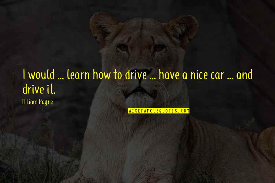 Trincia Per Miniescavatore Quotes By Liam Payne: I would ... learn how to drive ...