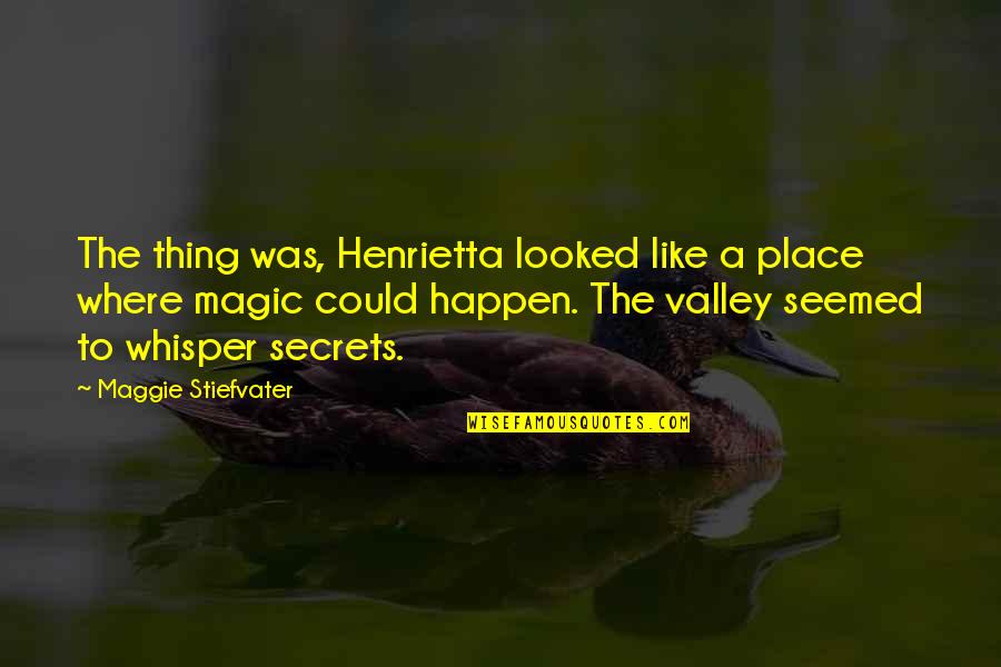 Trinklein Rd Quotes By Maggie Stiefvater: The thing was, Henrietta looked like a place