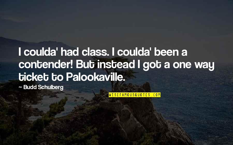 Trinova Tire Quotes By Budd Schulberg: I coulda' had class. I coulda' been a