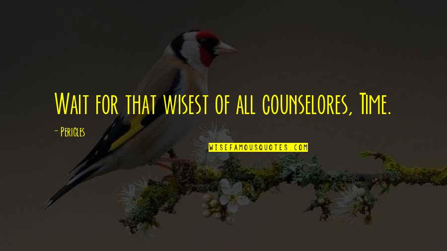 Trip And Fall Quotes By Pericles: Wait for that wisest of all counselores, Time.