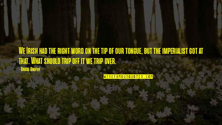 Trip Trip Quotes By Brigid Brophy: We Irish had the right word on the