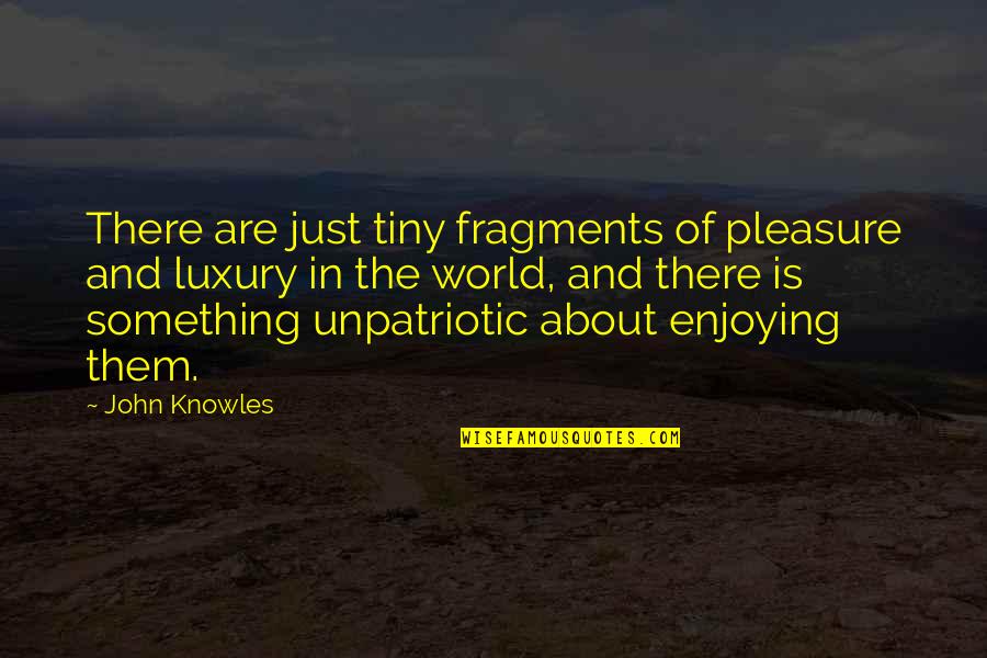 Tripartita Imss Quotes By John Knowles: There are just tiny fragments of pleasure and Tripartita Imss Quotes By John Knowles: There are just tiny fragments of pleasure and
