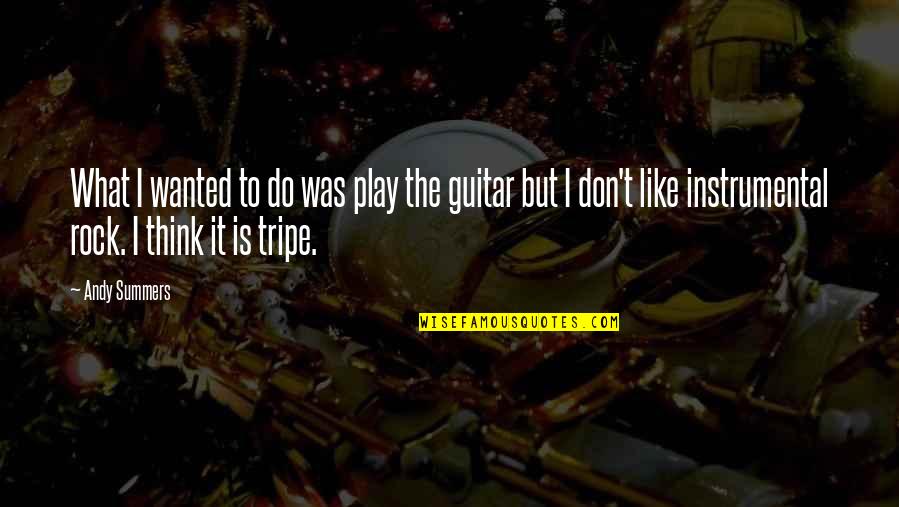 Tripe Quotes By Andy Summers: What I wanted to do was play the