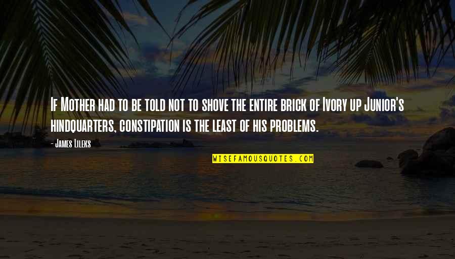Tripician Macaroons Quotes By James Lileks: If Mother had to be told not to Tripician Macaroons Quotes By James Lileks: If Mother had to be told not to
