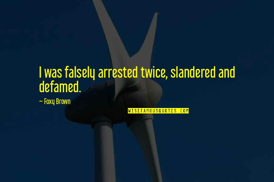 Triplane With One Piston Quotes By Foxy Brown: I was falsely arrested twice, slandered and defamed.