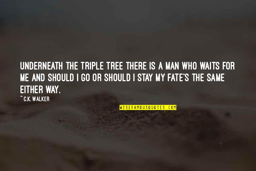 Triple A Quotes By C.K. Walker: Underneath the Triple Tree there is a man