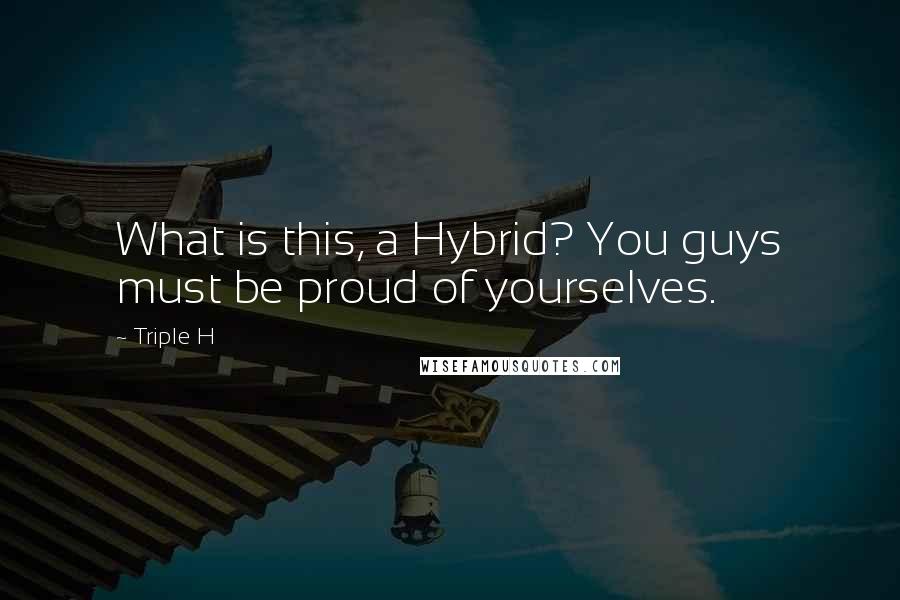 Triple H quotes: What is this, a Hybrid? You guys must be proud of yourselves.