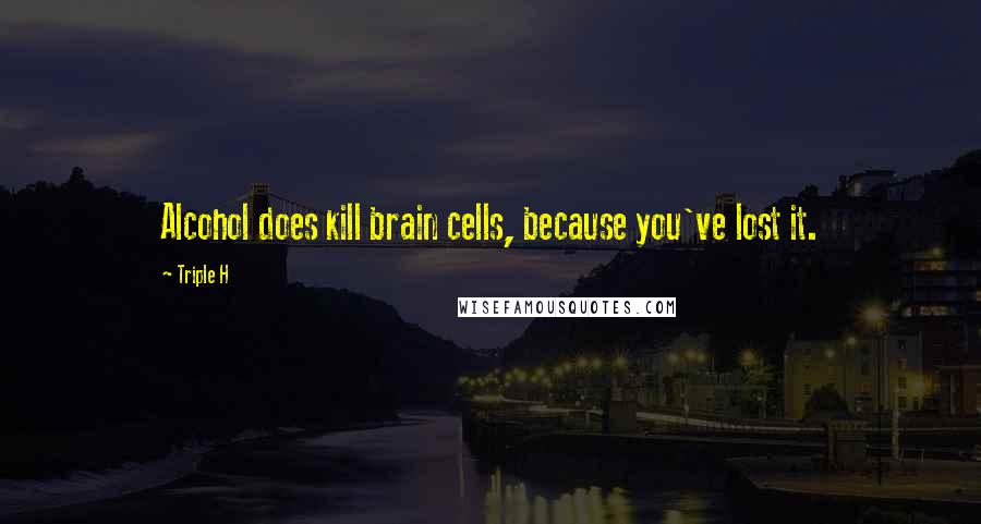 Triple H quotes: Alcohol does kill brain cells, because you've lost it.