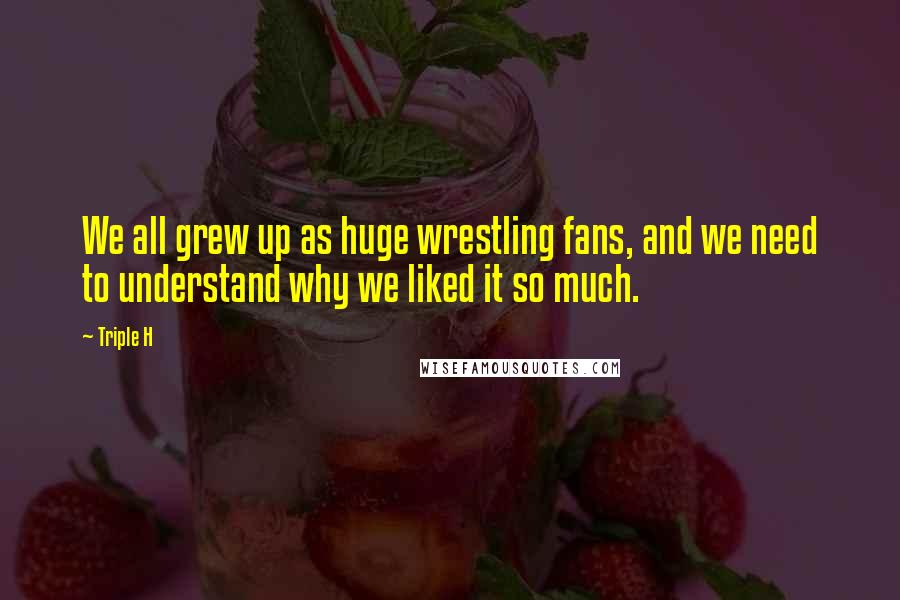 Triple H quotes: We all grew up as huge wrestling fans, and we need to understand why we liked it so much.