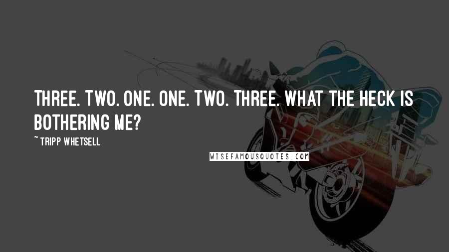 Tripp Whetsell quotes: Three. Two. One. One. Two. Three. What the heck is bothering me?