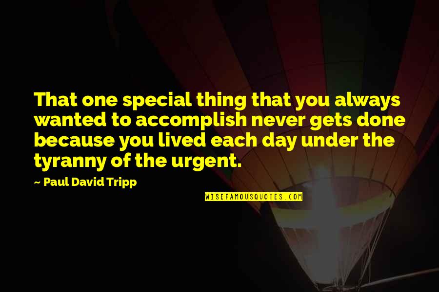 Tripp'd Quotes By Paul David Tripp: That one special thing that you always wanted