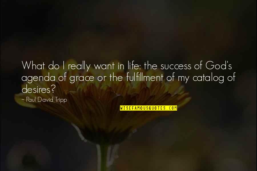 Tripp's Quotes By Paul David Tripp: What do I really want in life: the