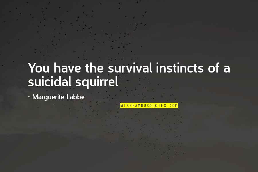 Triquetra Quotes By Marguerite Labbe: You have the survival instincts of a suicidal