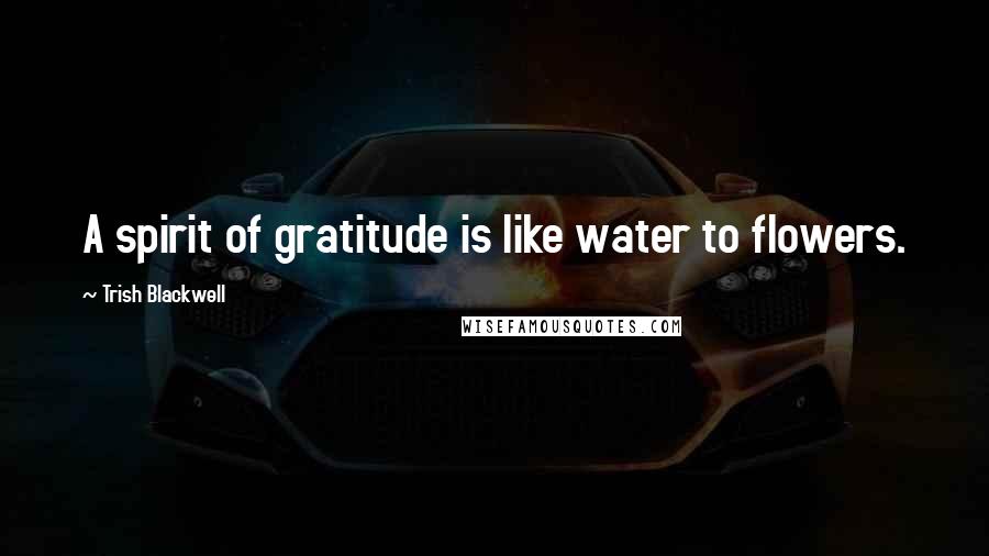 Trish Blackwell quotes: A spirit of gratitude is like water to flowers.