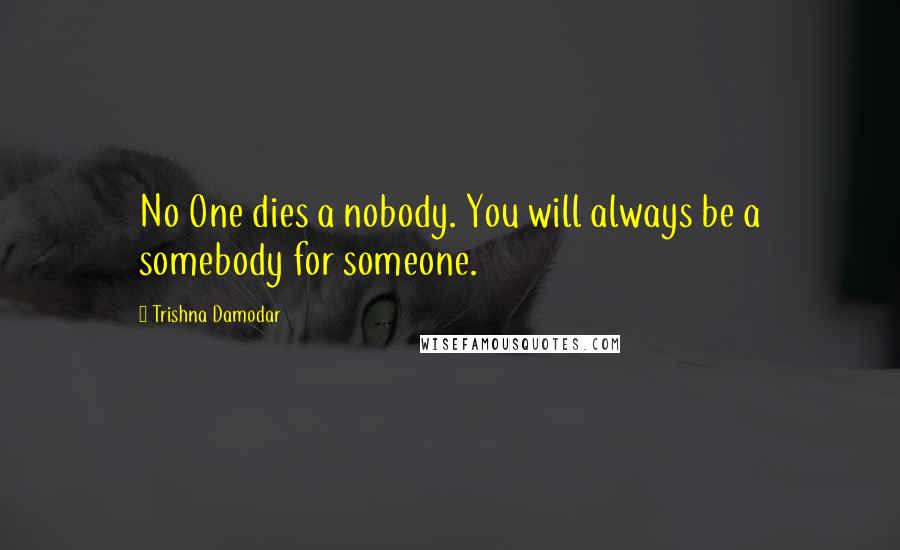 Trishna Damodar quotes: No One dies a nobody. You will always be a somebody for someone.