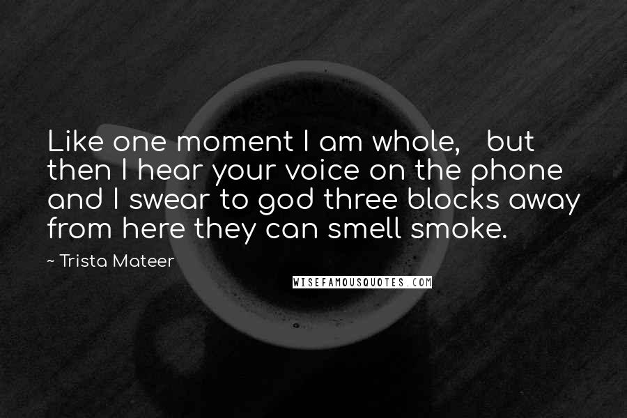 Trista Mateer quotes: Like one moment I am whole, but then I hear your voice on the phone and I swear to god three blocks away from here they can smell smoke.