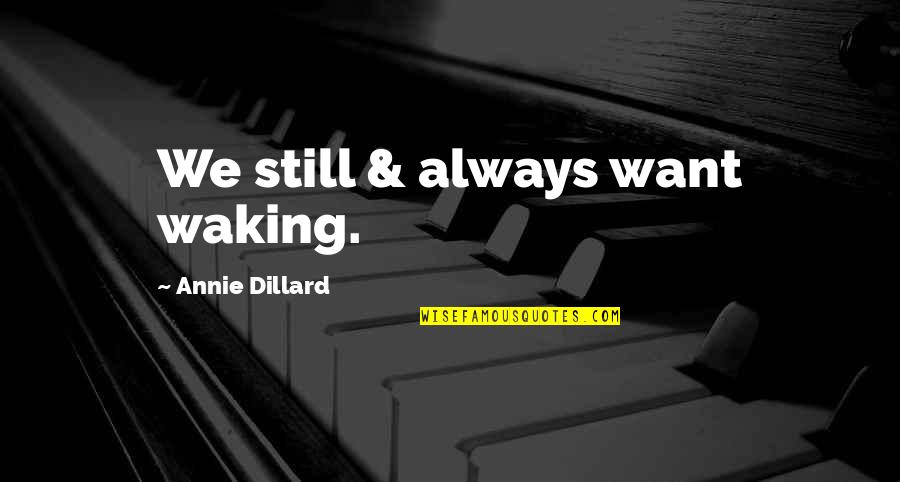 Tritulla Quotes By Annie Dillard: We still & always want waking.