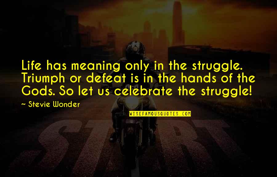 Triumph And Defeat Quotes By Stevie Wonder: Life has meaning only in the struggle. Triumph