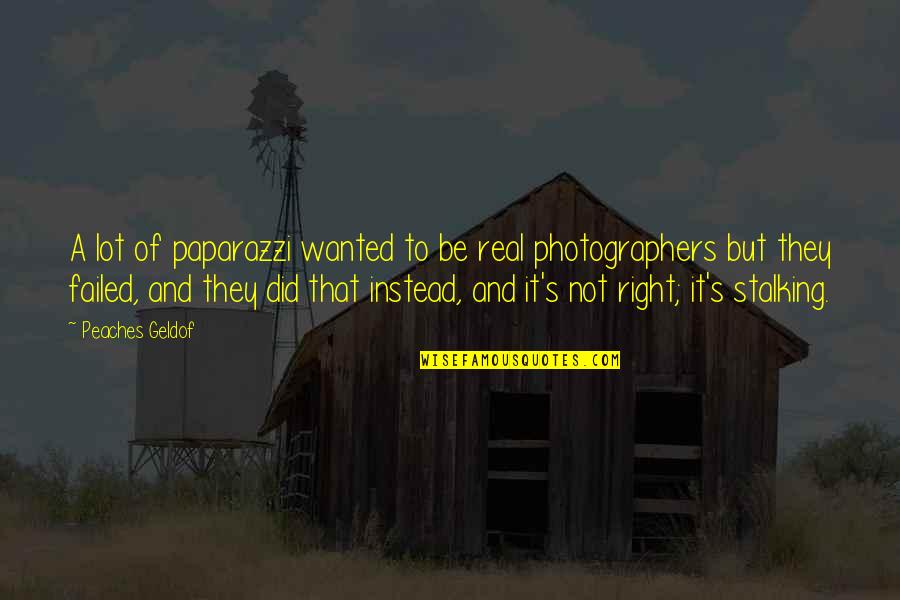 Triumph Of The Cross Quotes By Peaches Geldof: A lot of paparazzi wanted to be real Triumph Of The Cross Quotes By Peaches Geldof: A lot of paparazzi wanted to be real