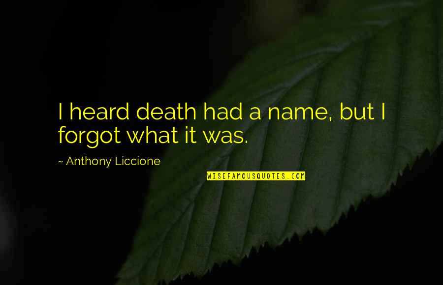 Triumph Of The Spirit Quotes By Anthony Liccione: I heard death had a name, but I