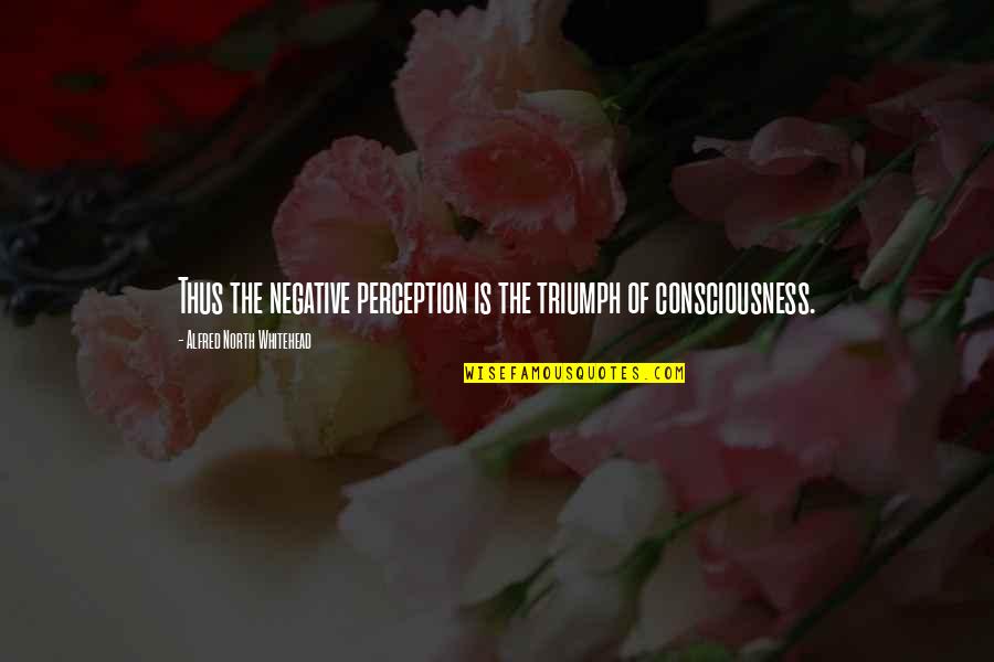 Triumph Quotes By Alfred North Whitehead: Thus the negative perception is the triumph of