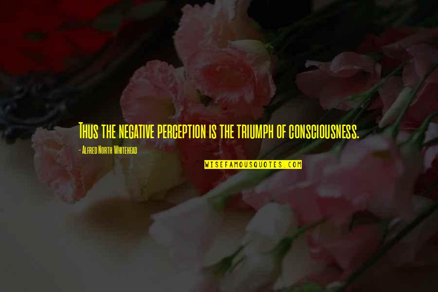 Triumph'st Quotes By Alfred North Whitehead: Thus the negative perception is the triumph of