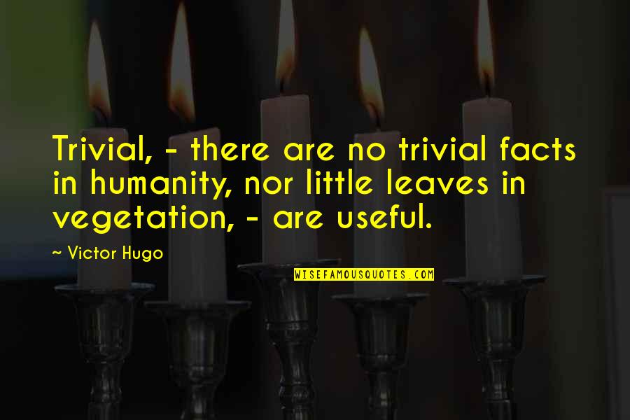 Trivial Quotes By Victor Hugo: Trivial, - there are no trivial facts in