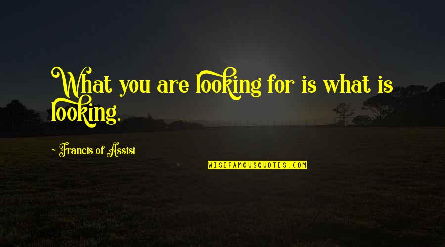 Trivialities With Underwire Quotes By Francis Of Assisi: What you are looking for is what is