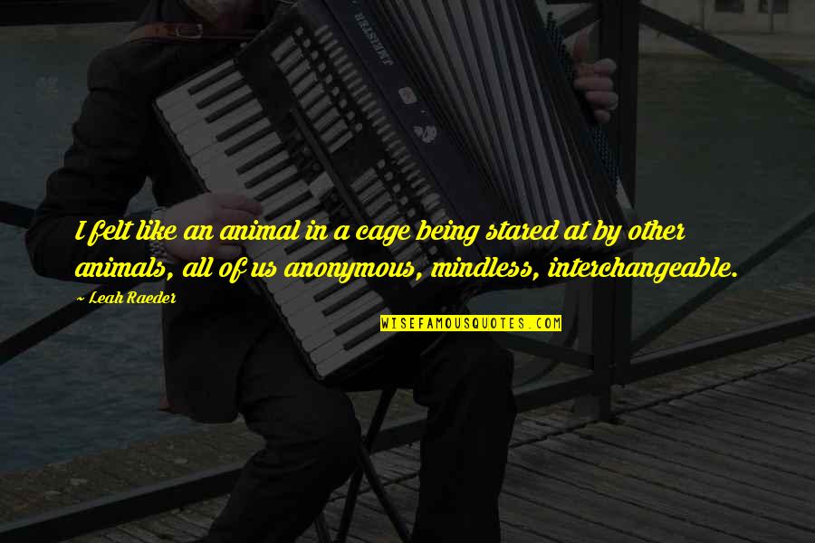 Trke Motora Quotes By Leah Raeder: I felt like an animal in a cage Trke Motora Quotes By Leah Raeder: I felt like an animal in a cage