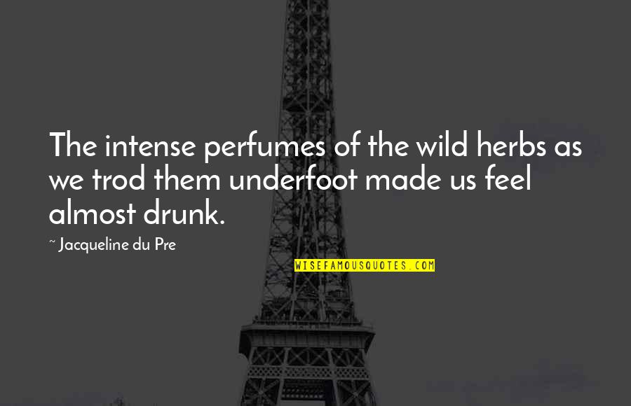 Trod Quotes By Jacqueline Du Pre: The intense perfumes of the wild herbs as