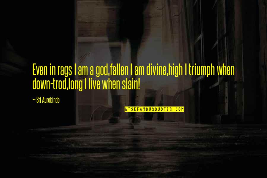 Trod Quotes By Sri Aurobindo: Even in rags I am a god,fallen I