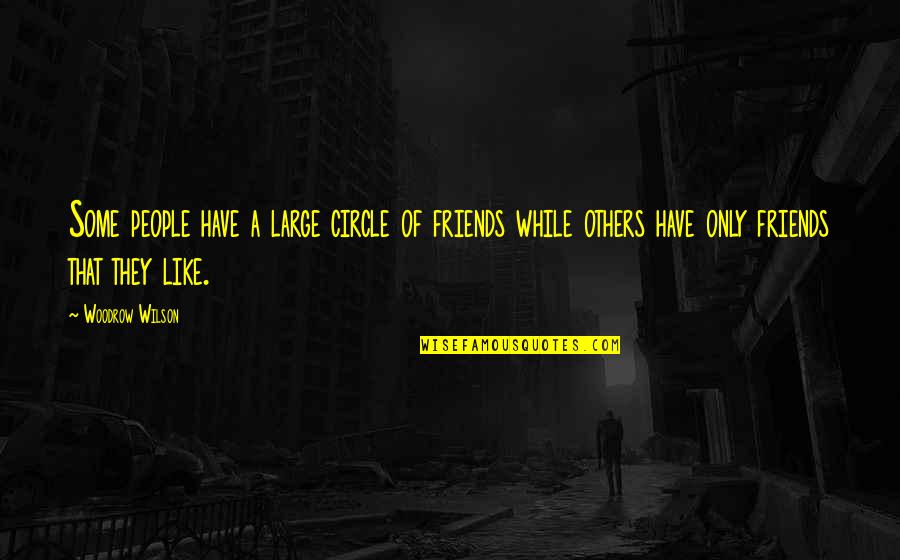 Trofast Lego Quotes By Woodrow Wilson: Some people have a large circle of friends