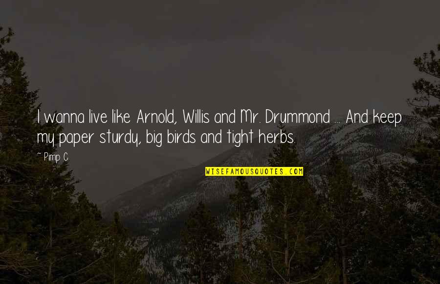 Trogdor Quotes By Pimp C: I wanna live like Arnold, Willis and Mr. Trogdor Quotes By Pimp C: I wanna live like Arnold, Willis and Mr.