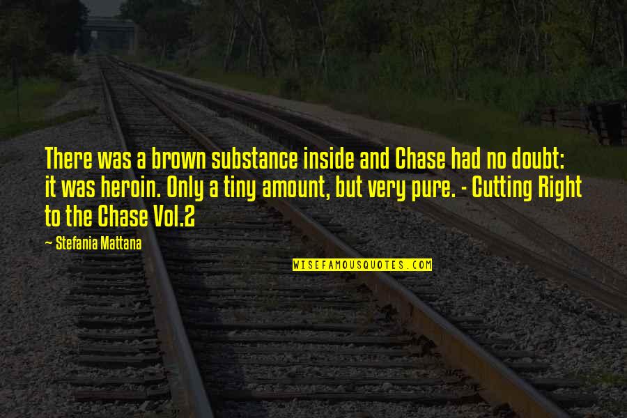 Trognon Et Pepin Quotes By Stefania Mattana: There was a brown substance inside and Chase
