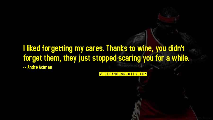 Trojan Warrior Quotes By Andre Aciman: I liked forgetting my cares. Thanks to wine,