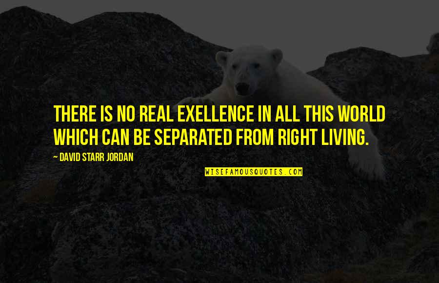 Troll Face Quotes By David Starr Jordan: There is no real exellence in all this