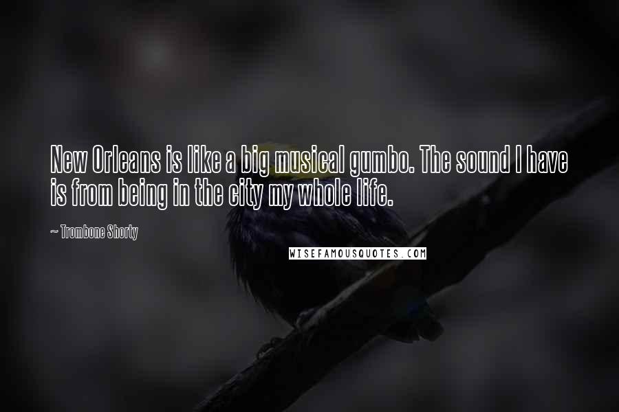 Trombone Shorty quotes: New Orleans is like a big musical gumbo. The sound I have is from being in the city my whole life.