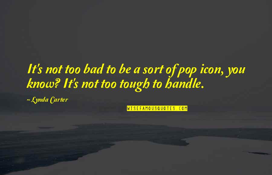 Trophy Shooting Quotes By Lynda Carter: It's not too bad to be a sort