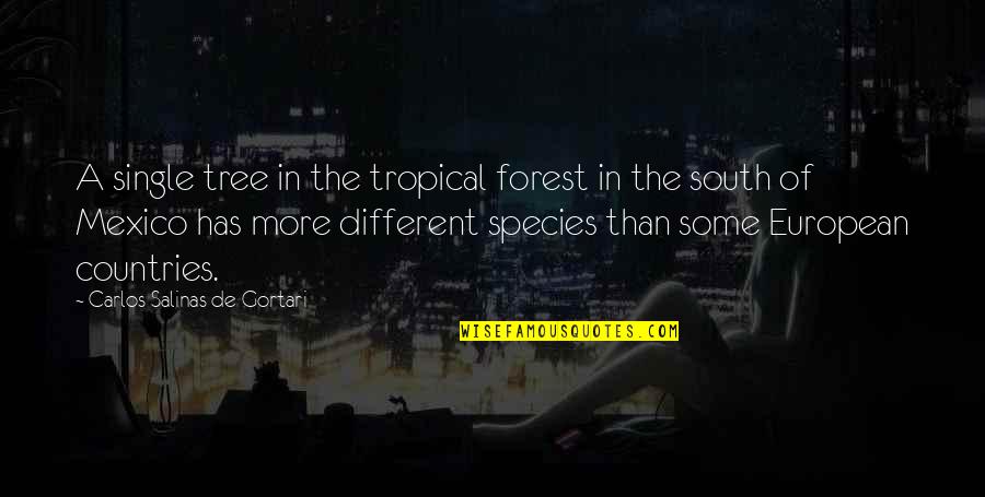 Tropical Quotes By Carlos Salinas De Gortari: A single tree in the tropical forest in
