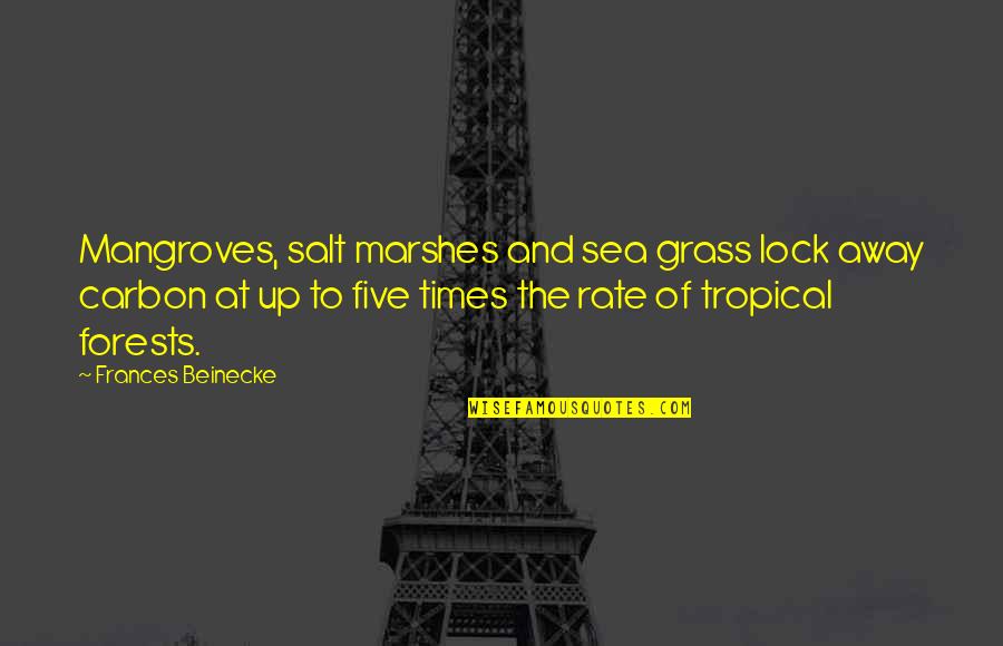 Tropical Quotes By Frances Beinecke: Mangroves, salt marshes and sea grass lock away