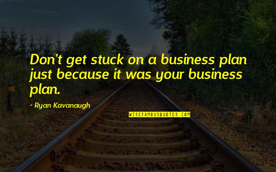 Troponin T Quotes By Ryan Kavanaugh: Don't get stuck on a business plan just